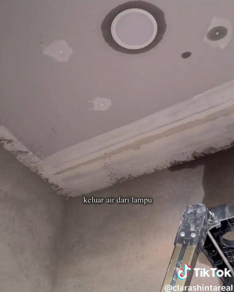 Tiktok.com/clarashintareal